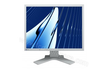 EIZO S2133-GY - 21.3 pouces