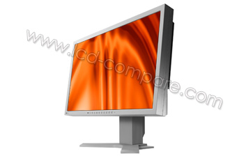 EIZO FlexScan S2433WH-GY - 24"