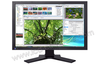 EIZO FlexScan SX2461W-BK - 24"