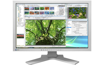 EIZO FlexScan SX2461W-GY - 24"
