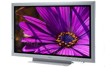 FUJITSU SIEMENS PQ42-1 Myrica - 106 cm