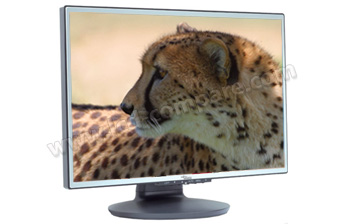FUJITSU SIEMENS L19-1W Scaleoview  - 19"