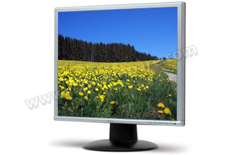 FUJITSU SIEMENS L19-2SD Scaleoview - 19 pouces