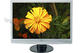 FUJITSU SIEMENS L19W-9 Scaleoview - 19 pouces