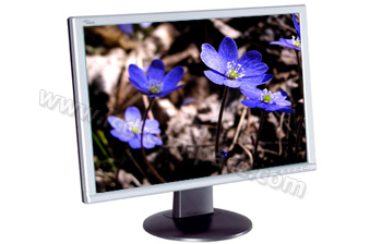 FUJITSU SIEMENS L22W-2 Scaleoview - 22"