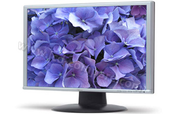 FUJITSU SIEMENS L22W-6SA Scaleoview - 22"