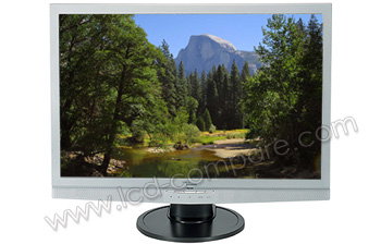 FUJITSU SIEMENS L22W-8X Scaleoview - 22 pouces