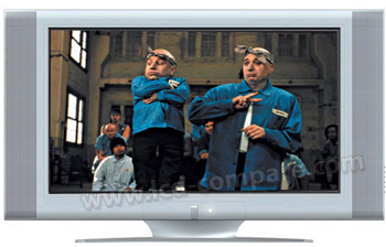 HOHER H32L20 - 81 cm