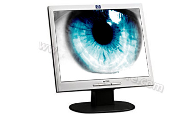 HEWLETT PACKARD HP L1502 - 15 pouces