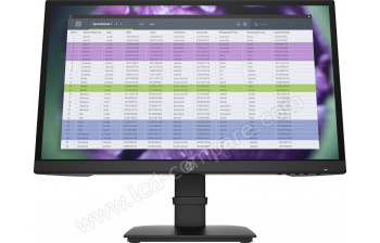 HEWLETT PACKARD HP P22 G4 - 21.5 pouces