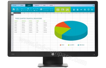HEWLETT PACKARD HP ProDisplay P203 - 20 pouces