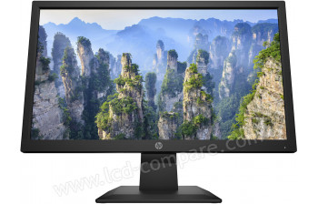 HEWLETT PACKARD HP V20 - 19.5 pouces