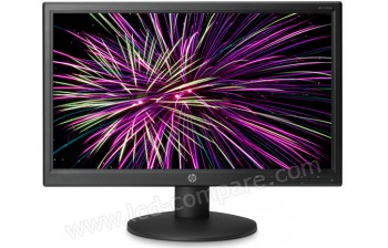HEWLETT PACKARD HP V201a - 19.5 pouces