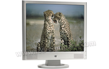 HEWLETT PACKARD HP vs19 - 19 pouces