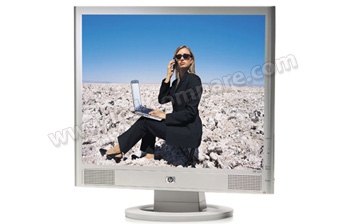 HEWLETT PACKARD HP vs19e - 19 pouces