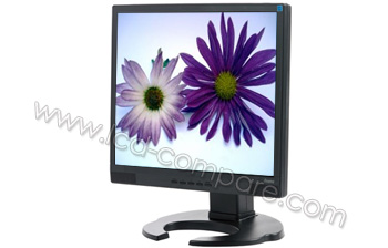 IIYAMA ProLite B1702S-B2 - 17 pouces