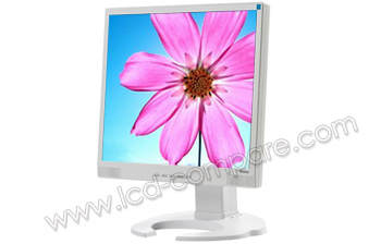 IIYAMA ProLite B1702S-W2 - 17 pouces