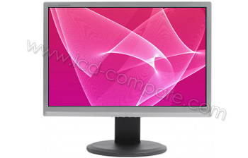 IIYAMA ProLite B2206WS-S1 - 22 pouces