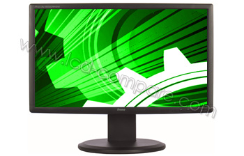 IIYAMA ProLite B2209HDS-B1 - 22 pouces