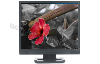 IIYAMA ProLite E1902S-B1 - 19 pouces