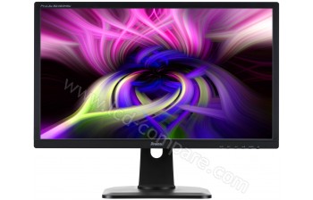 IIYAMA ProLite B2483HSU-B1DP - 24"