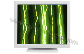 IIYAMA ProLite T1931SR-W1 - 19 pouces