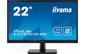 IIYAMA ProLite E2283HS-B5 - 21.5 pouces