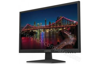 IT WORKS ITW24PB1 - 23.6 pouces