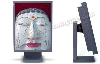 LACIE 319 LCD MONITOR - 19 pouces