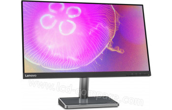 LENOVO L24q-35 - 23.8 pouces