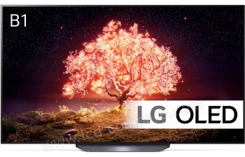 LG OLED65B13LA - 164 cm - A partir de : 1309.00 € chez RueDuCommerce