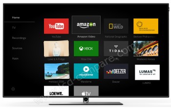 LOEWE bild 1.32 - 81 cm