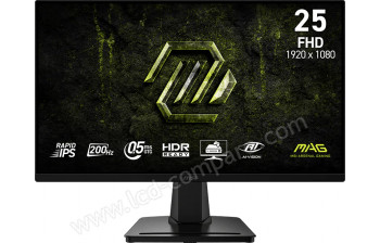MSI MAG 256FA E20 - 24.5 pouces