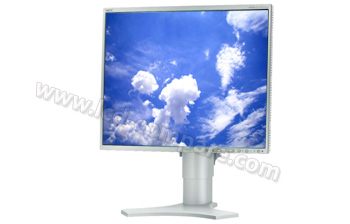 NEC MultiSync LCD1990FXp S - 19 pouces