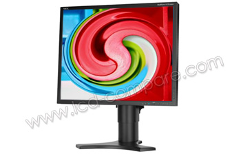 NEC MultiSync LCD1990SX BK - 19 pouces