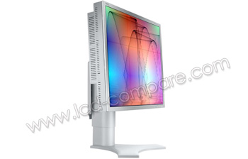 NEC MultiSync LCD1990SX S - 19 pouces