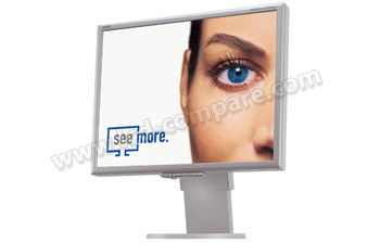 NEC MultiSync LCD2070VX S - 20 pouces
