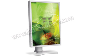 NEC MultiSync LCD2090UXi S - 20.1 pouces