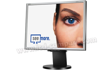 NEC MultiSync LCD2170NX BK - 21 pouces