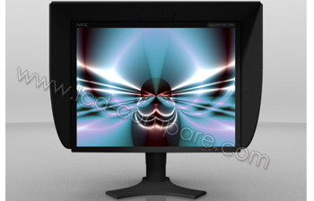NEC SpectraView 2190 BK - 21.3 pouces