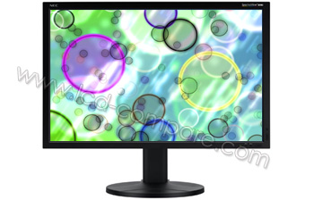NEC SpectraView 3090 - 30 pouces