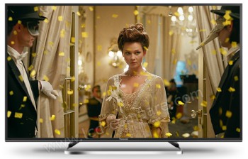 PANASONIC TX-49ESW504 - 123 cm