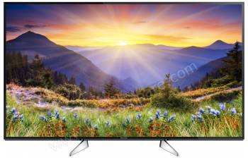 PANASONIC TX-49EX600E - 124 cm - A partir de : 799.00 € chez Atlanpolis chez FNAC