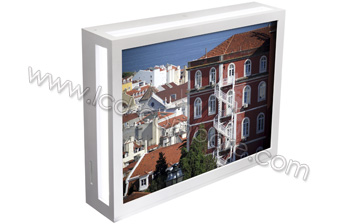 PARROT Dia - 10.4 pouces