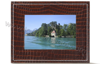 PARROT Photo Viewer 7 (Chocolat Salamandre) - 6.5"