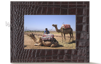 PARROT Photo Viewer 7 (Caf&eacute; Salamandre) - 6.5"