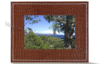 PARROT Photo Viewer 7 (Marron Salamandre) - 6.5"