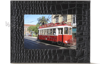 PARROT Photo Viewer 7 (Nuit Salamandre) - 6.5"