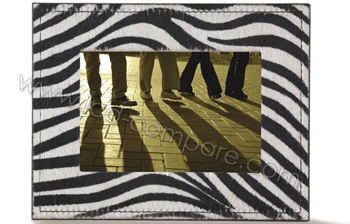 PARROT Photo Viewer 7 (Z&egrave;bre) - 6.5 pouces