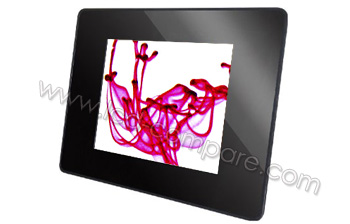 ROLLEI DF-80 Memories - 8 pouces